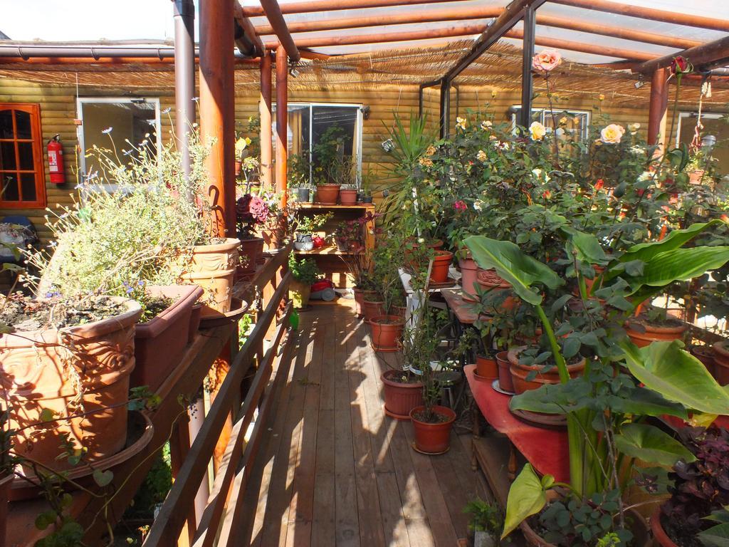 Hostal Mi Segundo Hogar Concepción Extérieur photo